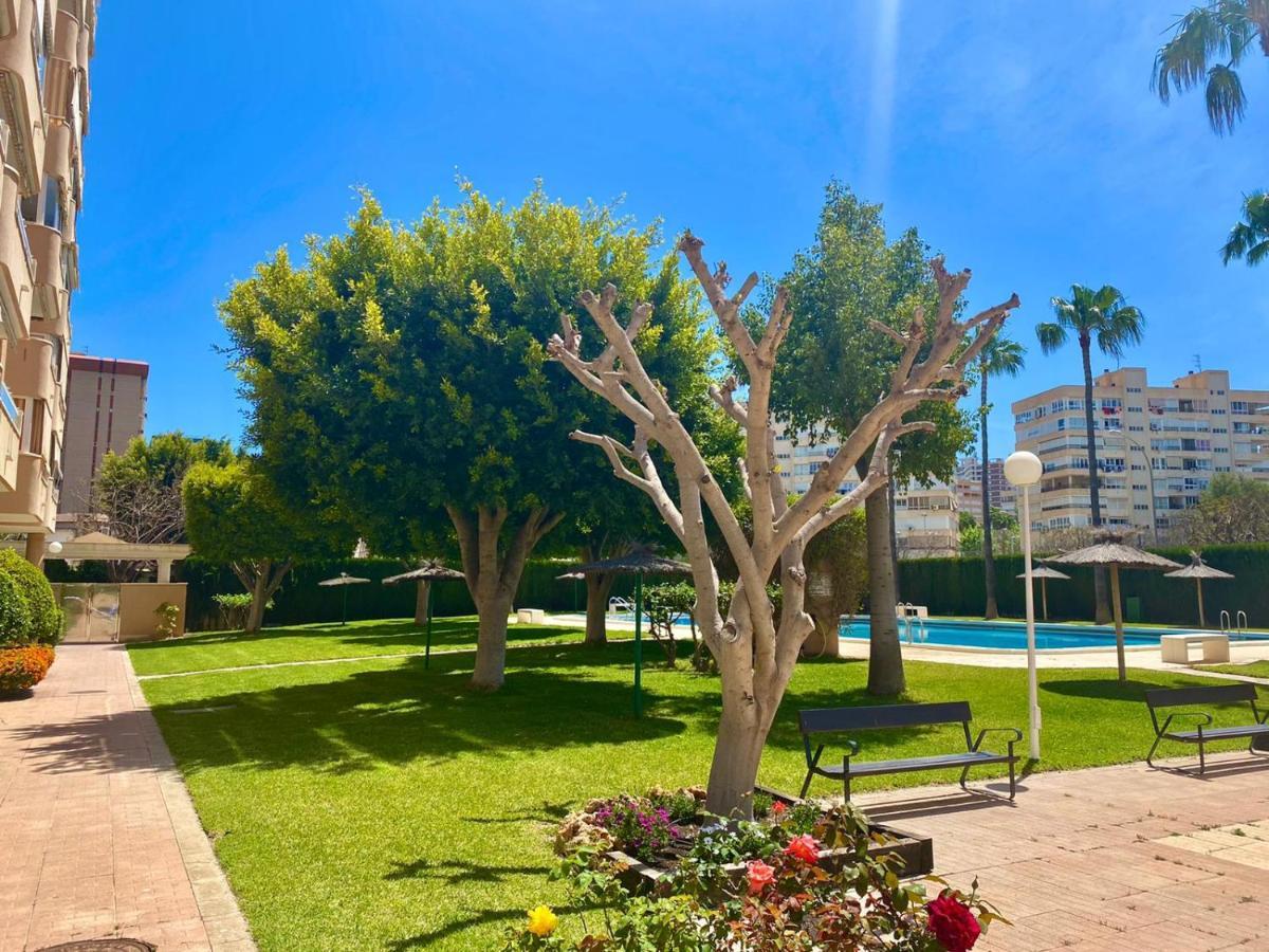 Apartamento Atenas Piscina 4 Pax, Inmobiliaria Leo Playa De San Juan Alicante Exterior photo